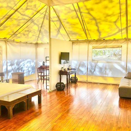 Hotel Hyla Nature Retreat San José Pinilla Exteriér fotografie