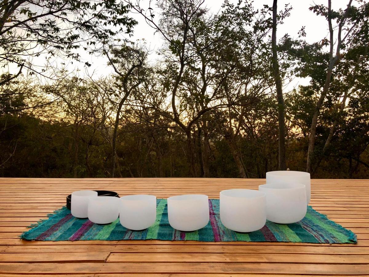 Hotel Hyla Nature Retreat San José Pinilla Exteriér fotografie