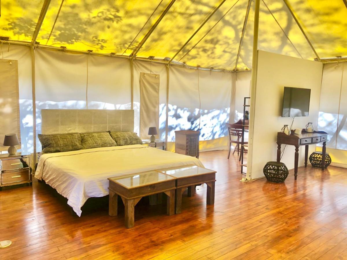 Hotel Hyla Nature Retreat San José Pinilla Exteriér fotografie